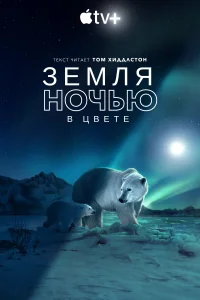 Земля ночью в цвете (2020) смотреть онлайн